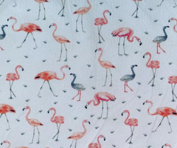 Flamingos - In Stock