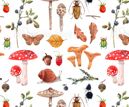 Toadstools - Limited Stock Remaining