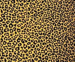 Mustard Leopard - In Stock